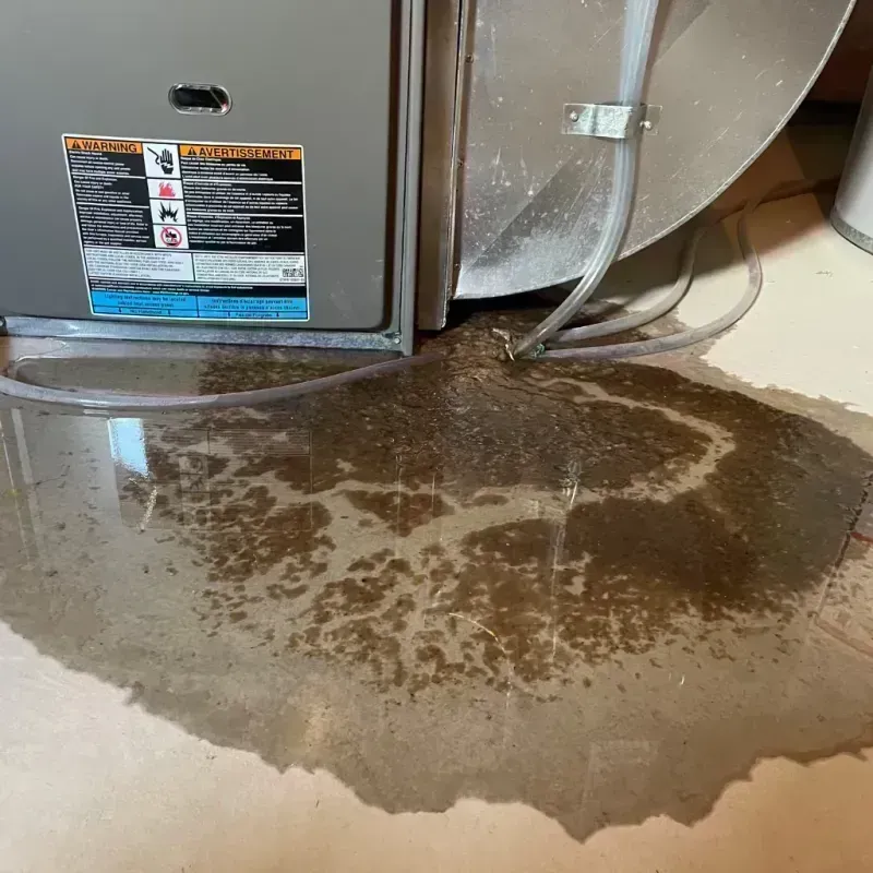 Appliance Leak Cleanup in Oakton, VA